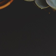 Search