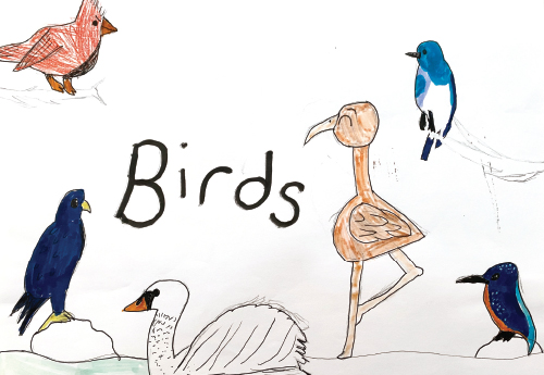 Bird By Bird