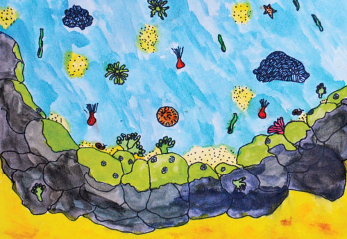 Sharing Environmental Stories