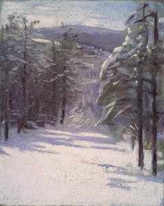 Winter White: Abbott Handerson Thayer