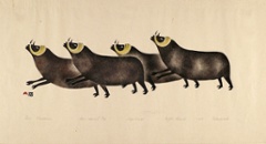 Artist Birthday: Osuitok Ipeelee