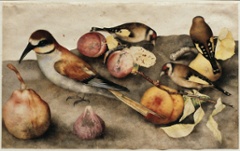 December is National Pear Month