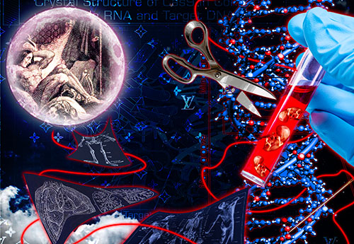 Digital Art Activism