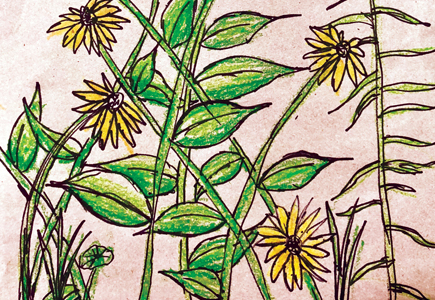 A Year in the Life of an Art Garden