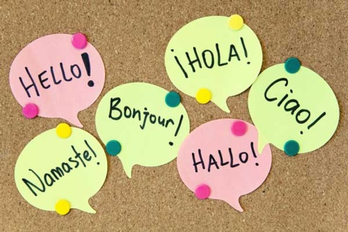 English Learners/Sheltered English Immersion