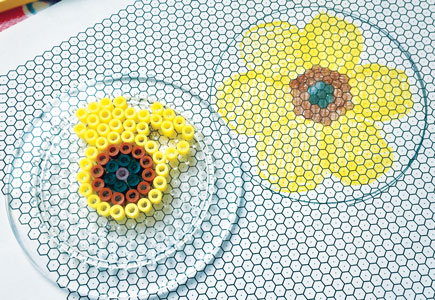 Beads & Seeds
